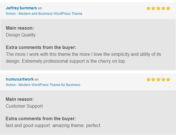 Schon WP Theme Reviews